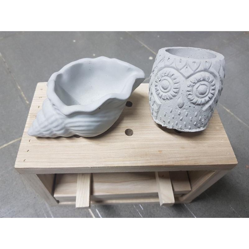 Chậu Xi Măng Mộc/ Hoạ Tiết Cú & Sò