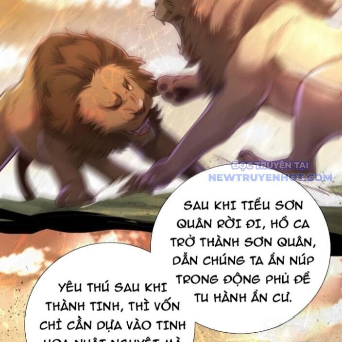 bói toán mà thôi, cửu vĩ yêu đế sao lại thành nương tử ta?! chapter 72 39