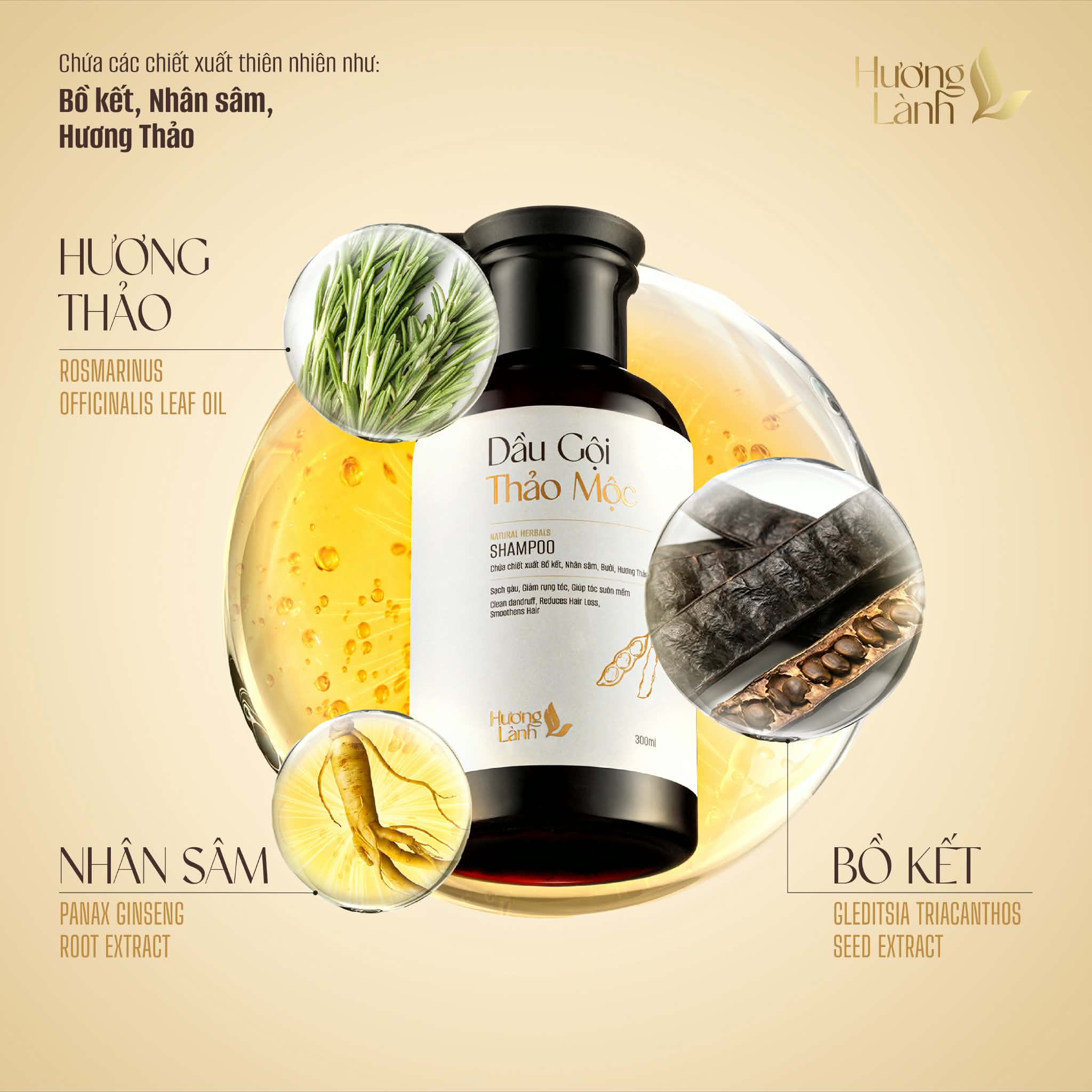 Dầu gội Thảo mộc Hương Lành