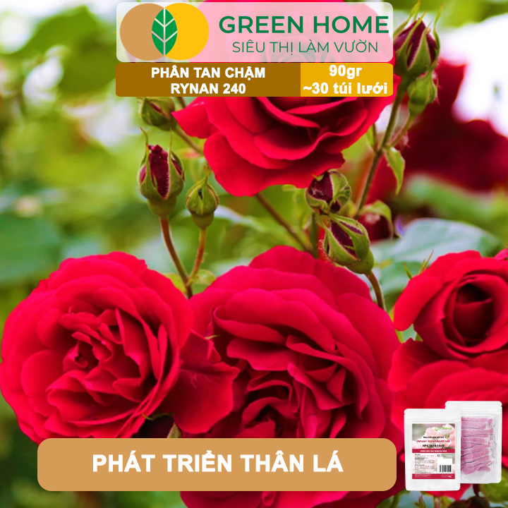 Phân Tan Chậm GreenHome, Rynan 240, Bao 90gr ~ 30 Túi Lưới 3gr, Dùng Cho Hoa Hồng Ra Hoa Đều Và Rực Rỡ