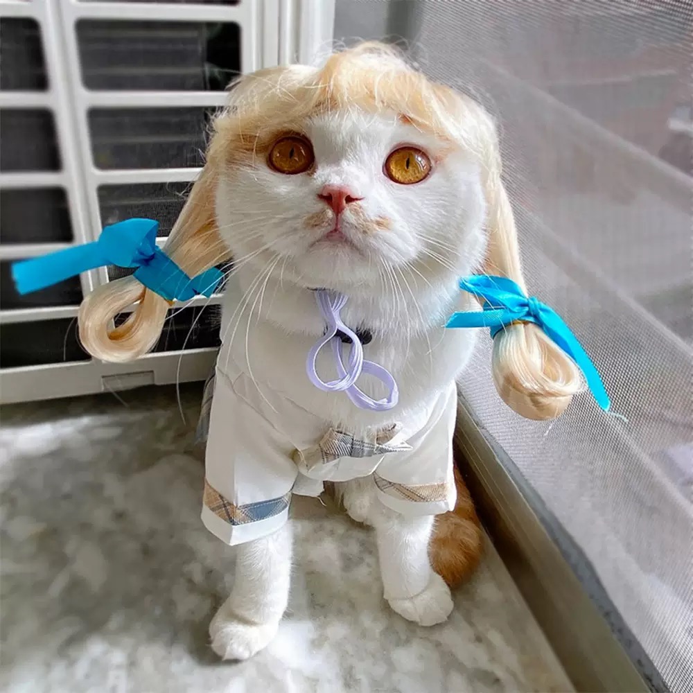 BỘ TÓC GIẢ VÀ KÍNH ĐỘC ĐÁO NGỘ NGHĨNH MÃ 2 CHO THÚ CƯNG CHÓ MÈO