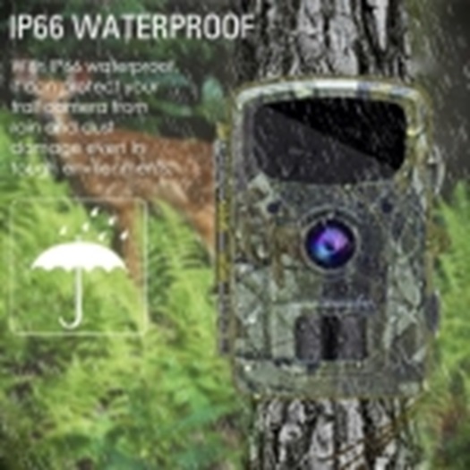 Máy bẫy ảnh Terino RT48-4K (48 MP, Video 4K, Xem hình ảnh trên LCD, IP66) - Hàng chính hãng