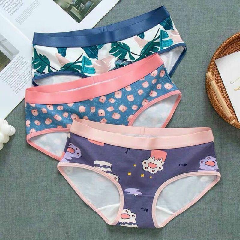 Sét 5 quần lót nhiều hình trẻ trung thế hệ mới