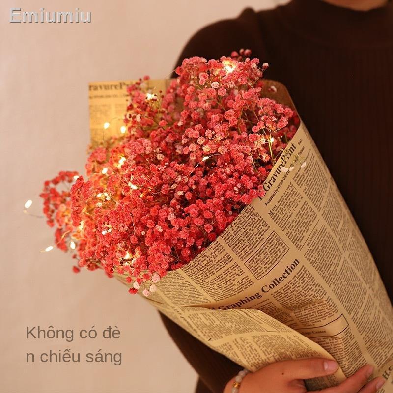 ✠Hoa gypsophila tự nhiên với đèn và hoa khô trang trí phòng khách