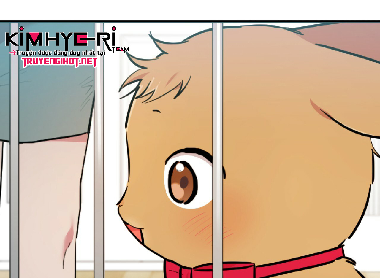 những chú thỏ của hapypy chapter 2 81