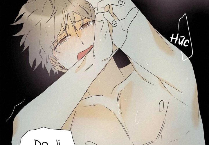 guide cấp b chapter 36 19