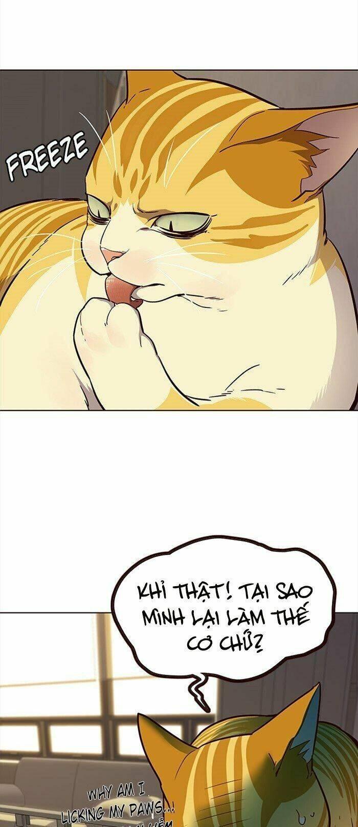 biến thân thành mèo chapter 29 20
