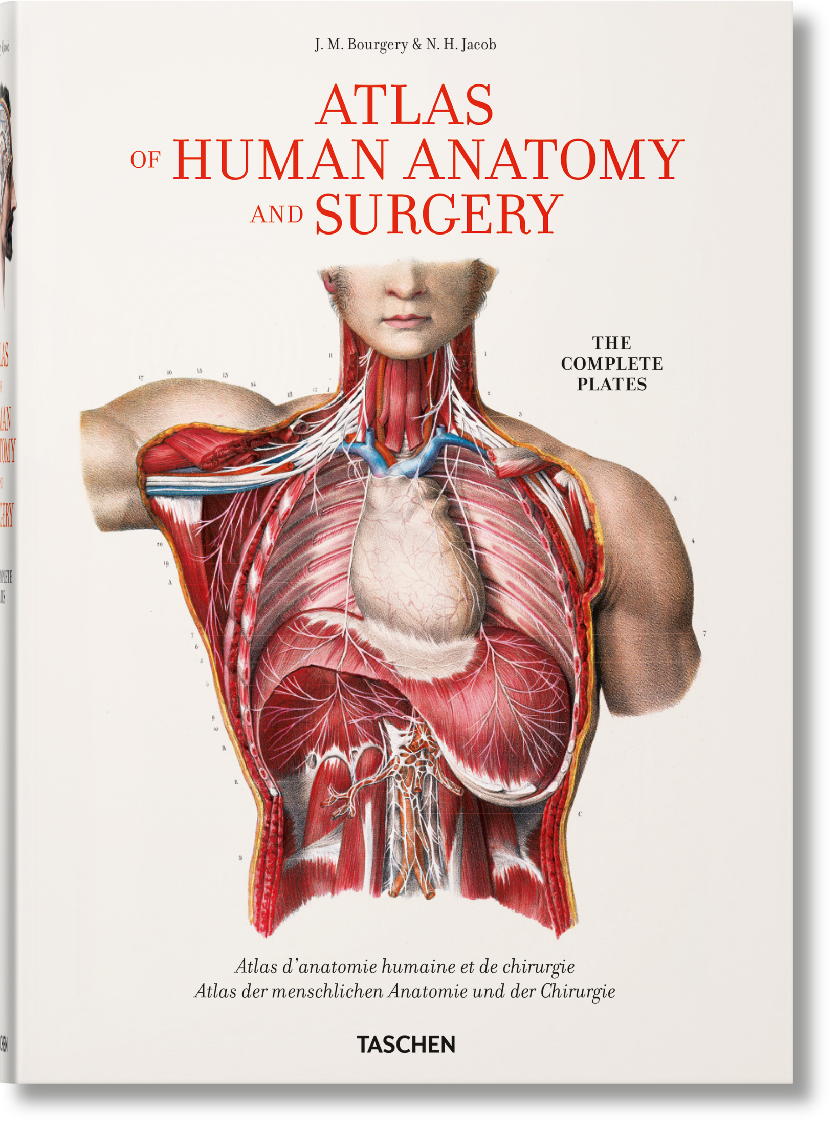 Artbook - Sách Tiếng Anh - Atlas of Human Anatomy and Surgery