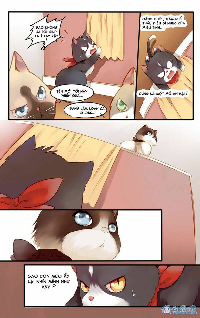 hằng mộng nam thần chapter 22 9