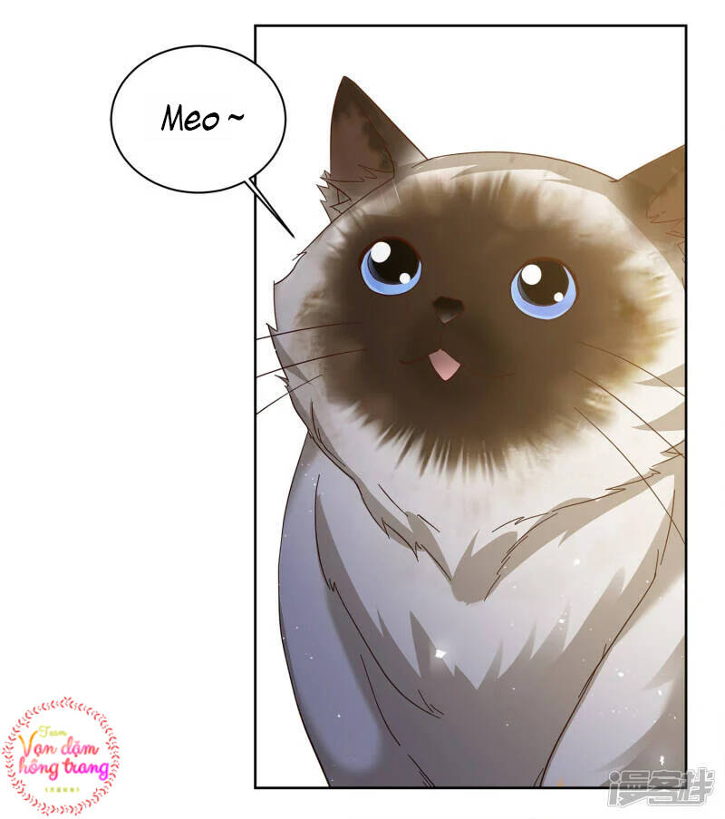 cô ấy đến rồi, xin nằm xuống! chapter 209 16