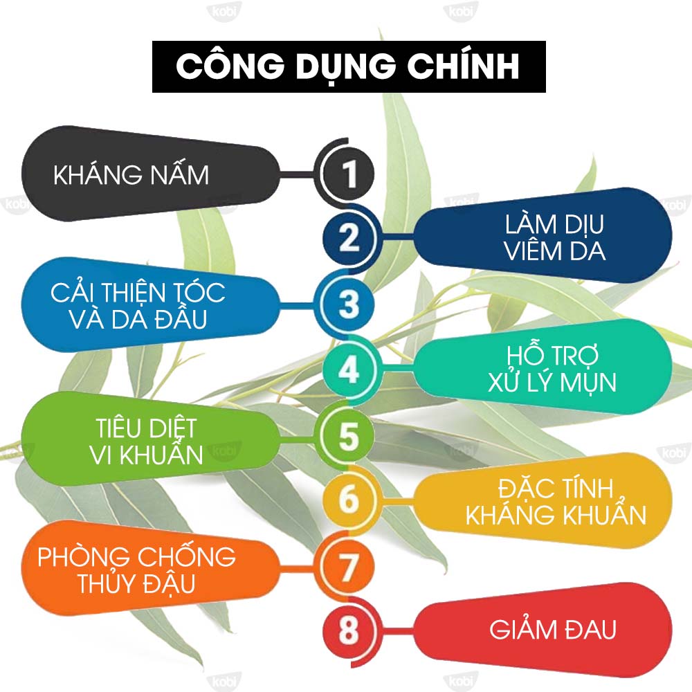 Tinh Dầu Tràm Trà Kobi - Tinh Dầu Thiên Nhiên Nguyên Chất, Tinh Dầu Xông Phòng, Giúp Giảm Stress, Xua Đuổi Côn Trùng Và Khử Mùi Hiệu Quả, Thích Hợp Dùng Với Đèn Xông Và Máy Khuếch Tán Tinh Dầu (5ml)