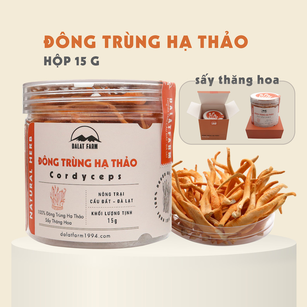 Đông Trùng Hạ Thảo Sấy Thăng Hoa DalatFarm - Hộp 15 g