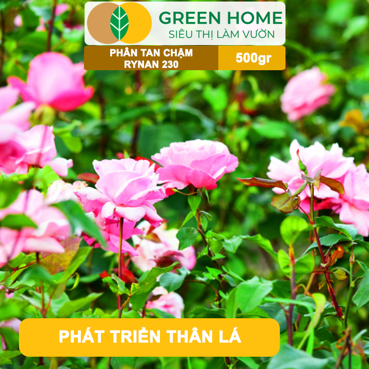 Phân Tan Chậm GreenHome, Rynan 230, Bao 500gr, Dùng Cho Hoa Kiểng, Kiểng Lá Trước Khi Ra Hoa