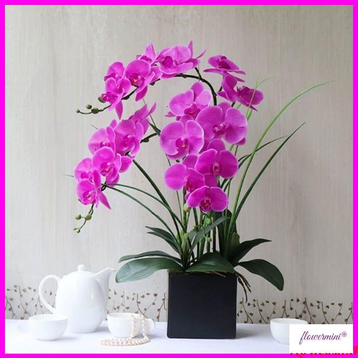 Hoa giả, bình hoa lan hồ điệp đẹp giống thật để bàn trang trí nhà cửa sang trọng Flowermini LD-03