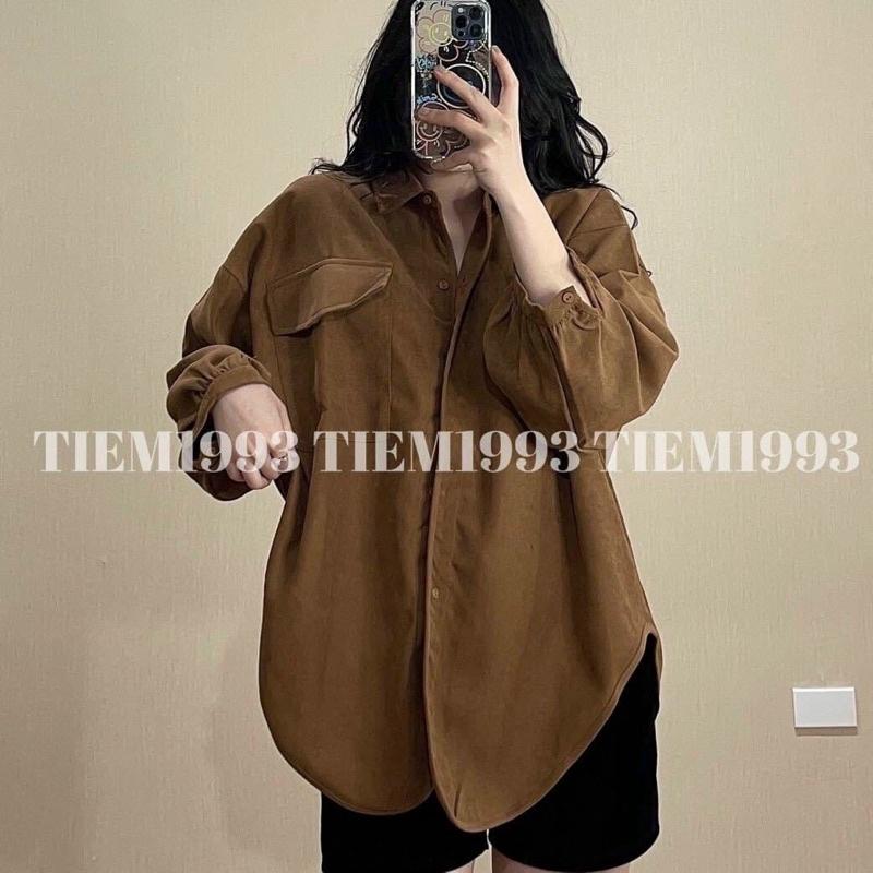 ÁO SƠ MI NHUNG ĐUÔI TÔM