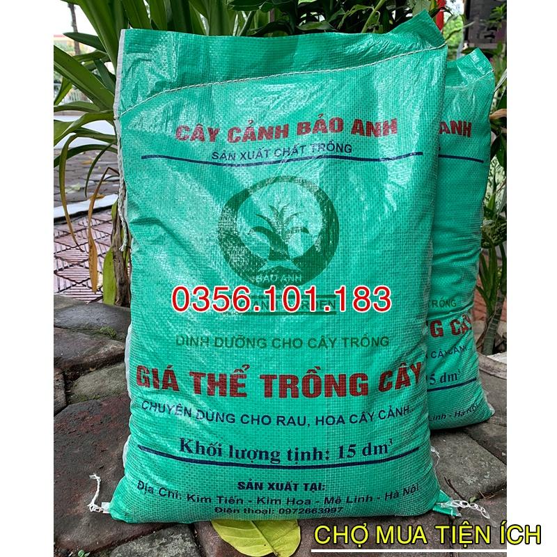 Combo 3 bao Đất Hữu Cơ Trồng Rau tặng Hạt Giống rau Cải