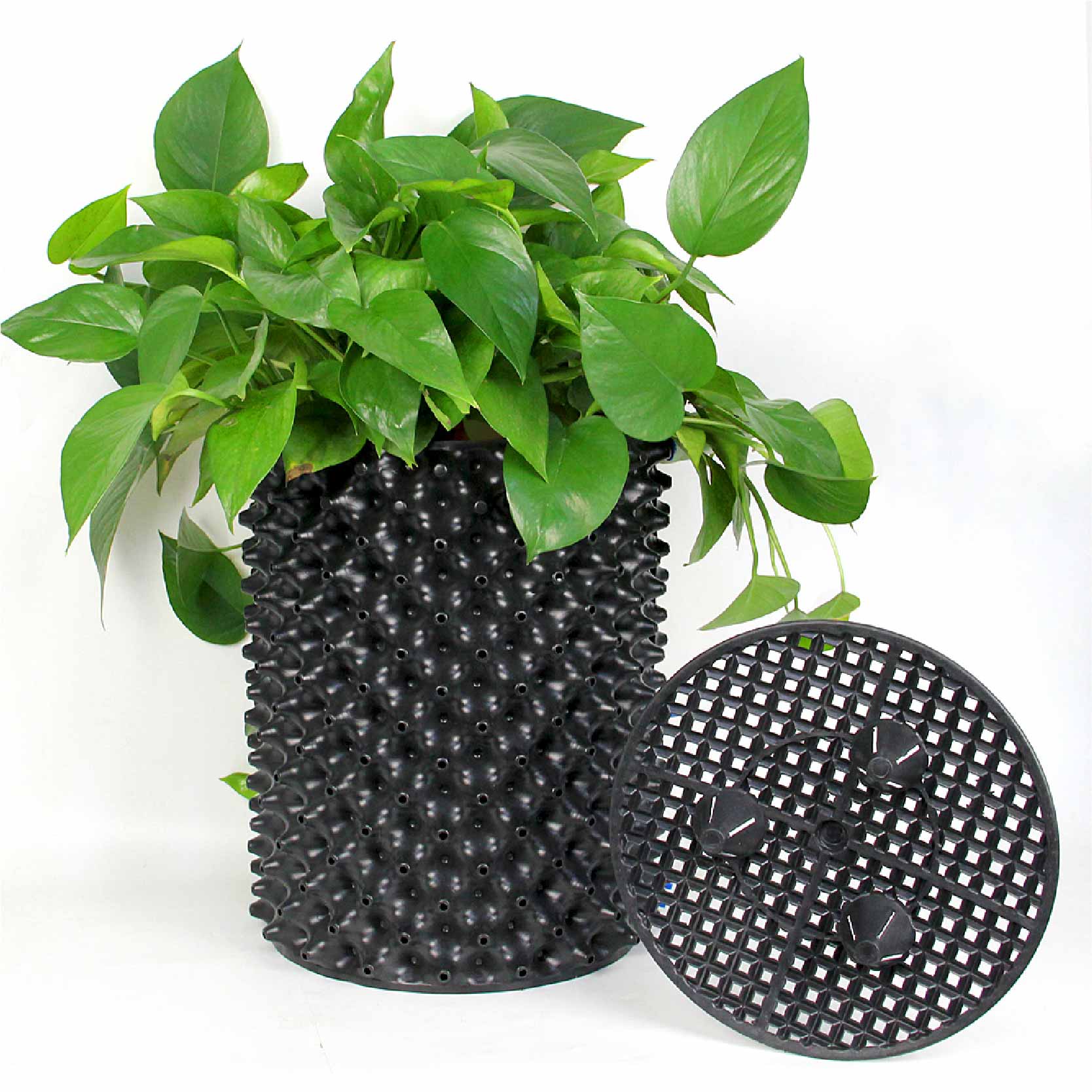 Bầu ươm hạt giống Ecopot cao 30cm x dài 25m