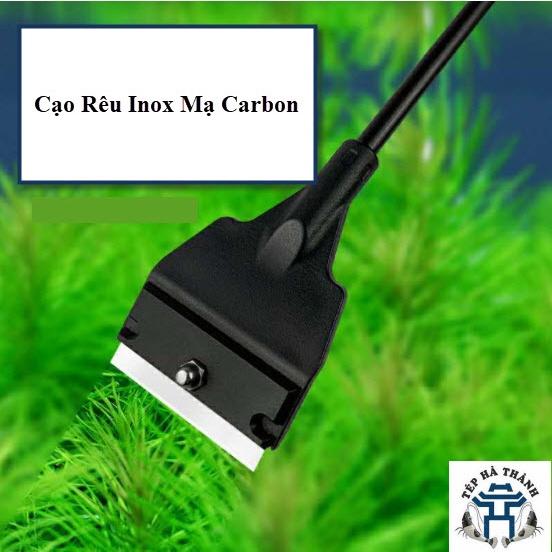 Cạo Rêu Giá Rẻ Cho Bể Thúy Sinh, Bể Cá Cảnh