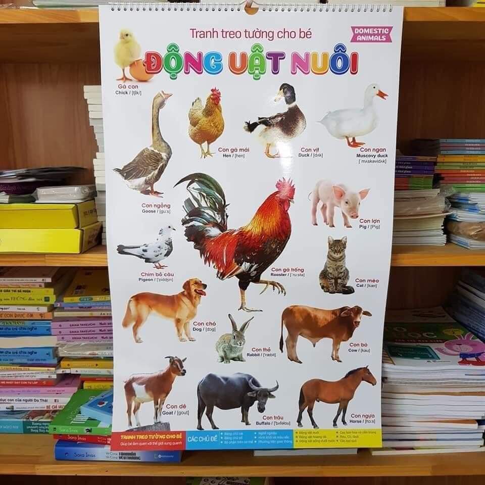 Bộ tranh treo tường 14 chủ đề chữ, số, con vật, hoa quả, phương tiện...