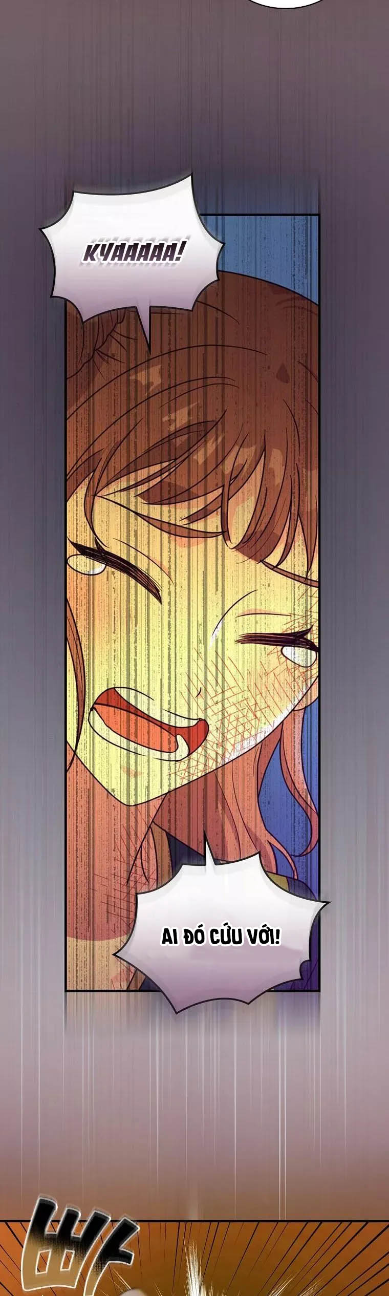 hiệp sĩ băng giá chapter 58.1 17