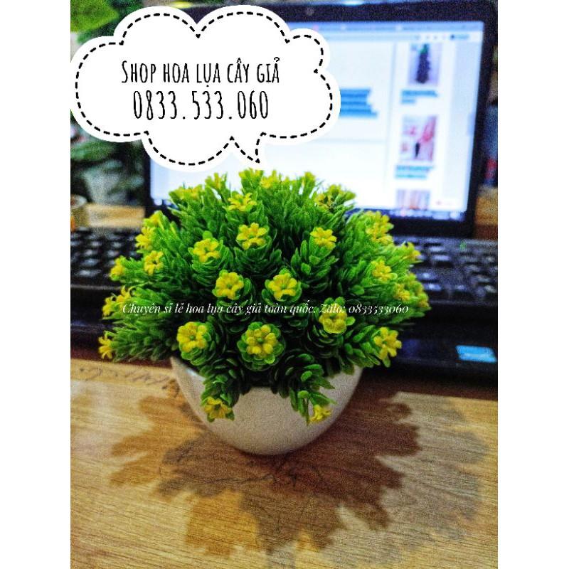 Chậu Hoa Gỉa Mini Trang Trí Bàn Học, bàn Làm Việc, văn phòng. Kích thước 15 cm * 17 cm. Đã kèm chậu. Hàng có sẵn