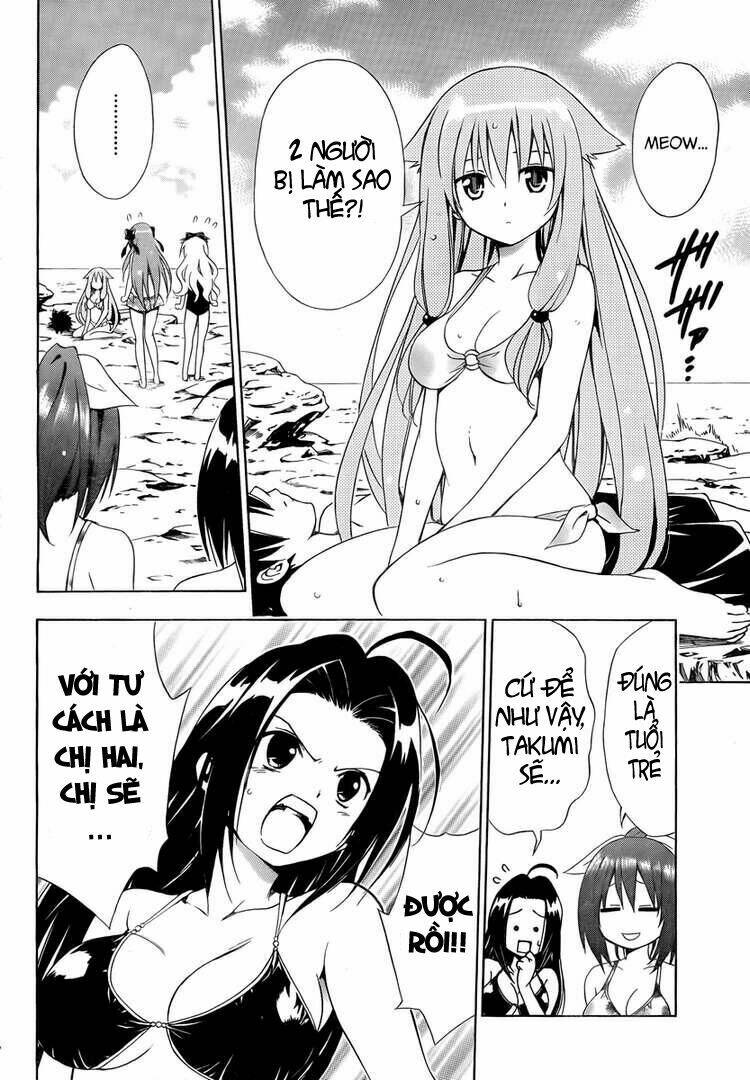 mayoi neko overrun! chapter 5 39