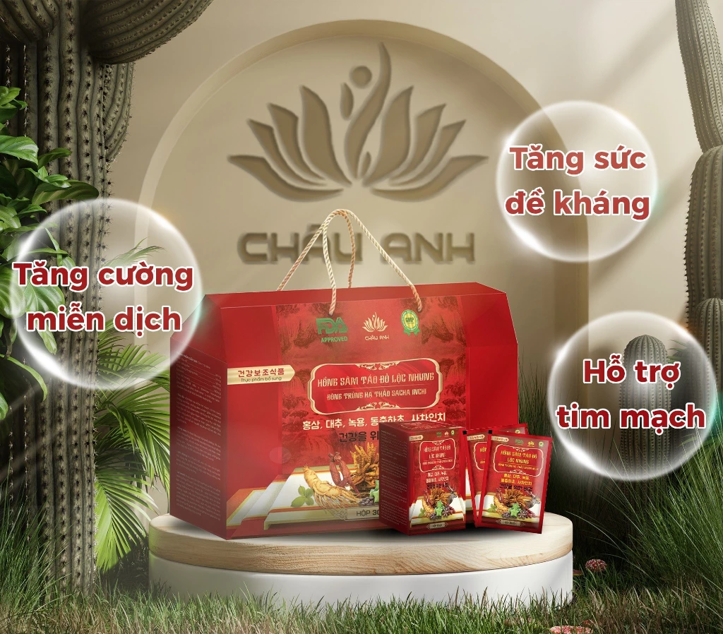 XÁCH HỒNG SÂM TÁO ĐỎ LỘC NHUNG ĐÔNG TRÙNG HẠ THẢO SACHA INCHI