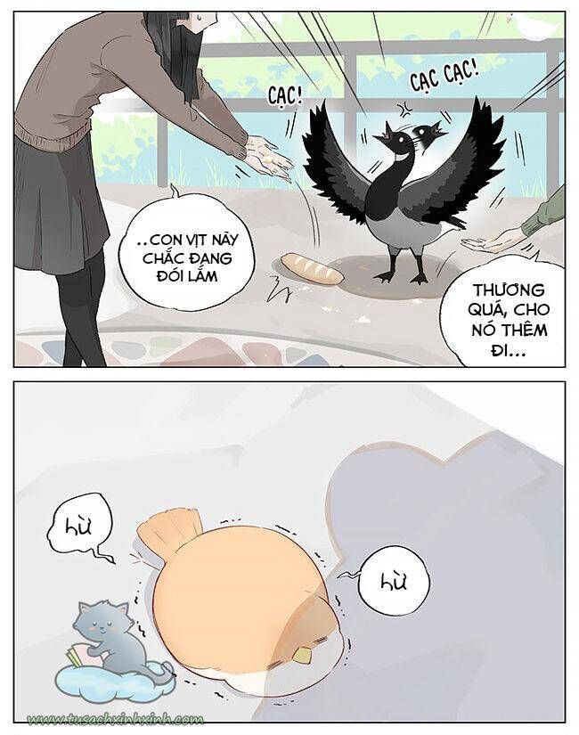 chim sẻ gọi ngỗng trời chapter 2 5