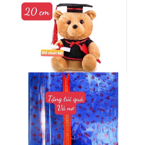 Thú bông gấu tốt nghiệp 20cm - tặng túi gói quà và nơ
