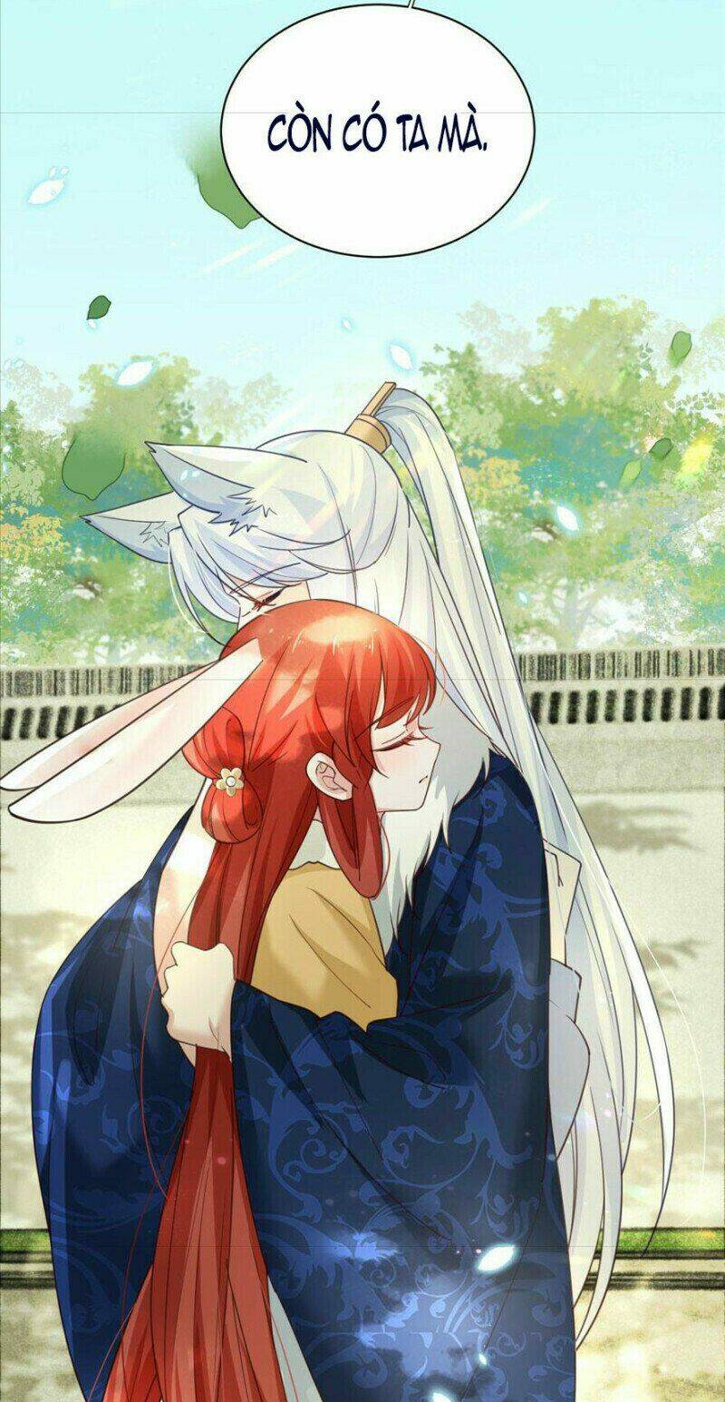 hắc hóa nam chính trực tuyến nuôi thỏ chapter 66 5