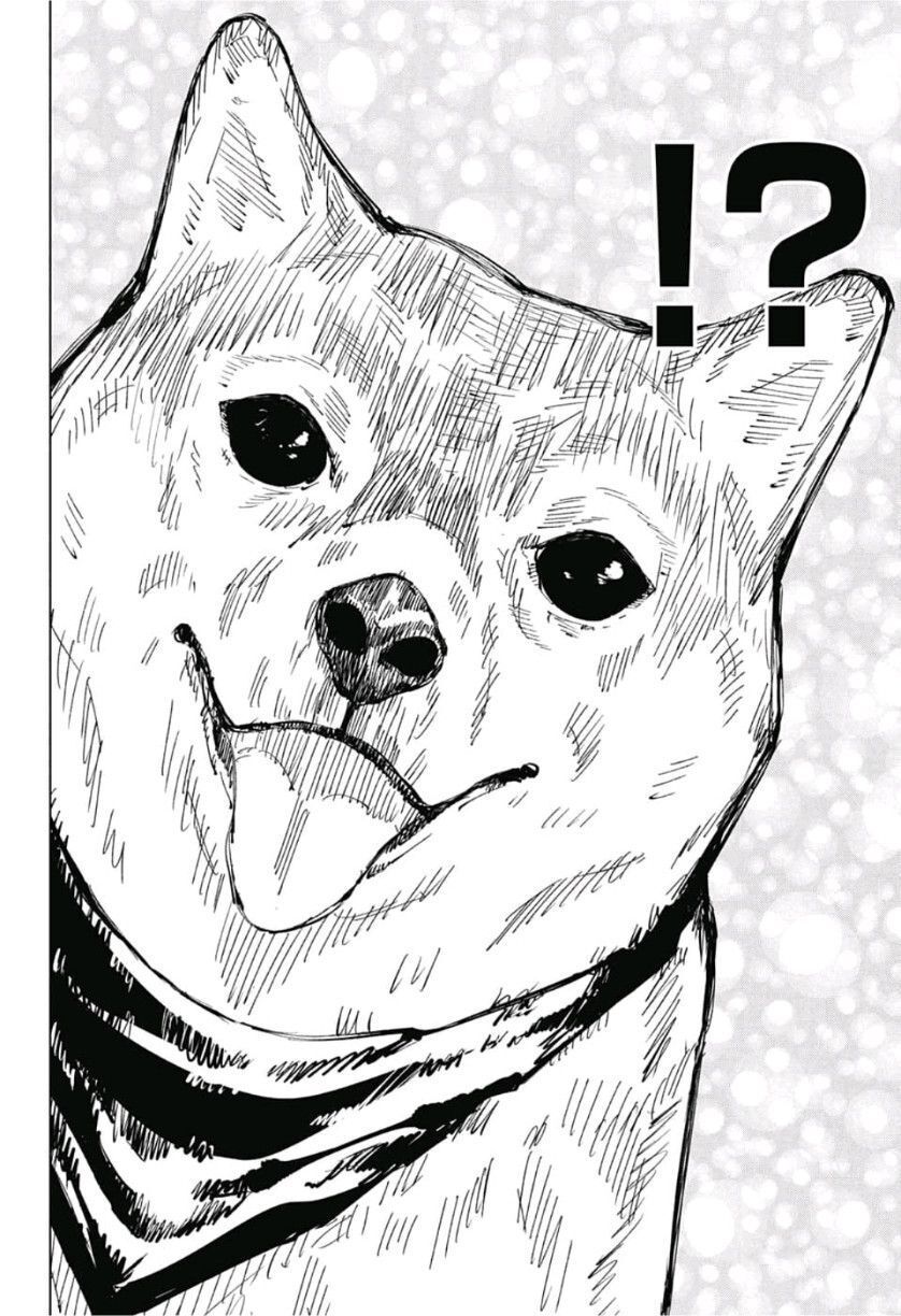 jujutsu kaisen - chú thuật hồi chiến chapter 68 14