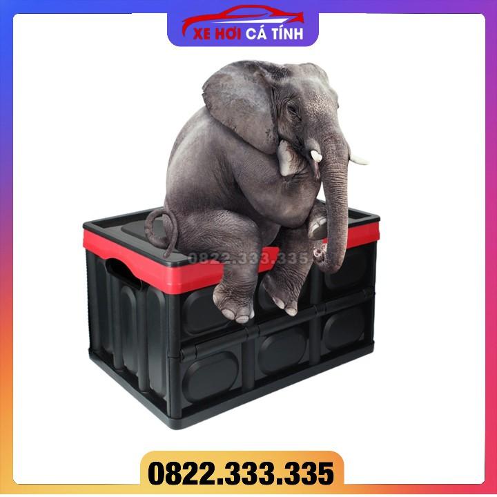 Thùng đựng đồ cốp xe ô tô xếp gọn dễ dàng với 2 dung tích 30L và 55L tiết kiệm tối đa không gian cốp xe ô tô