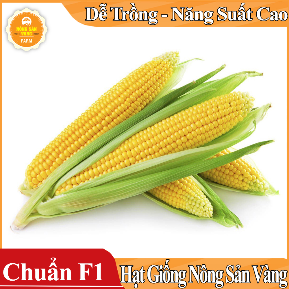 Hạt giống Bắp Mỹ (Ngô Mỹ) ( Gói 10 Gram ) - Nông Sản Vàng