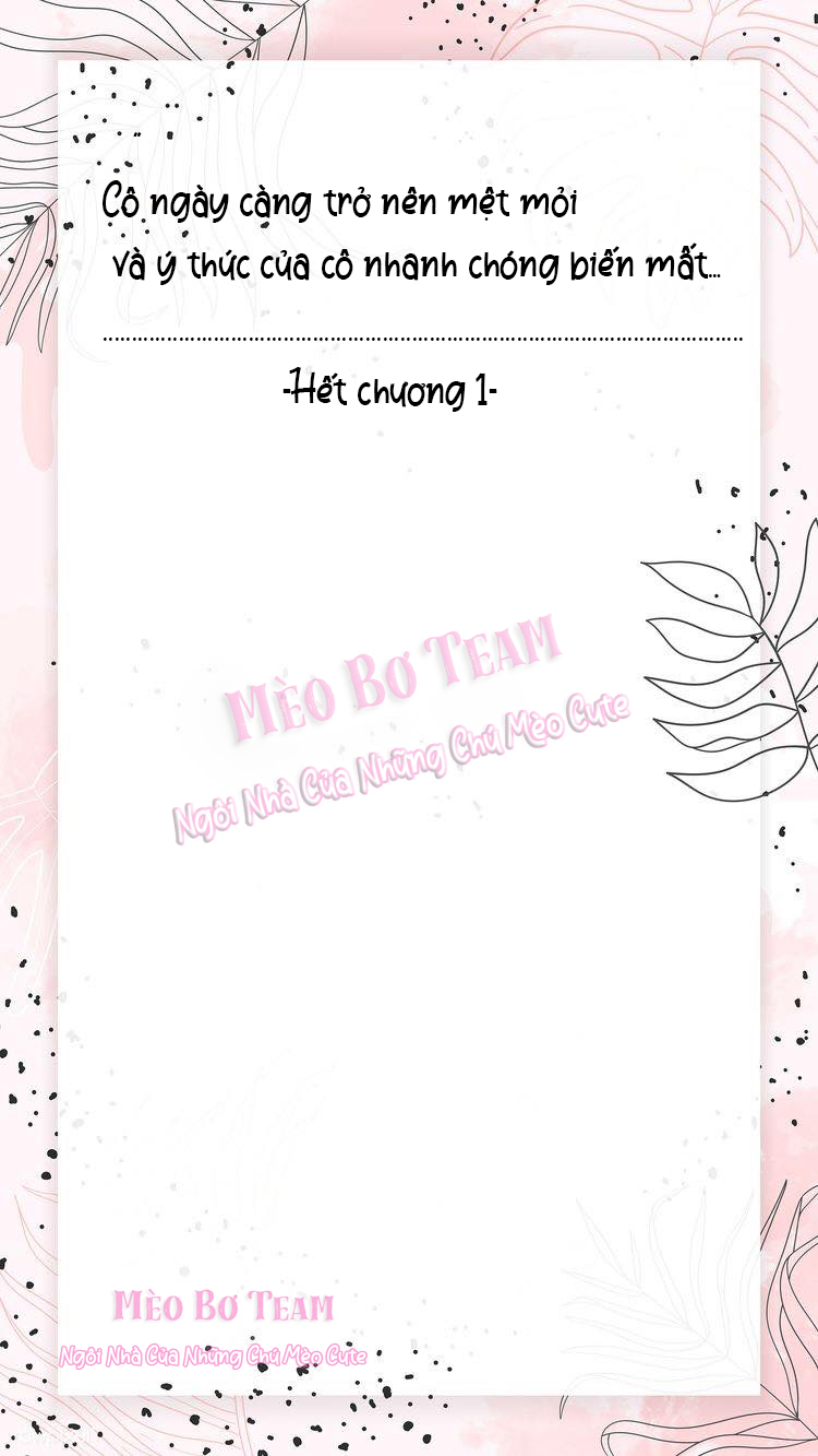 tôi bí mật kết hôn với một big shot chapter 1 10