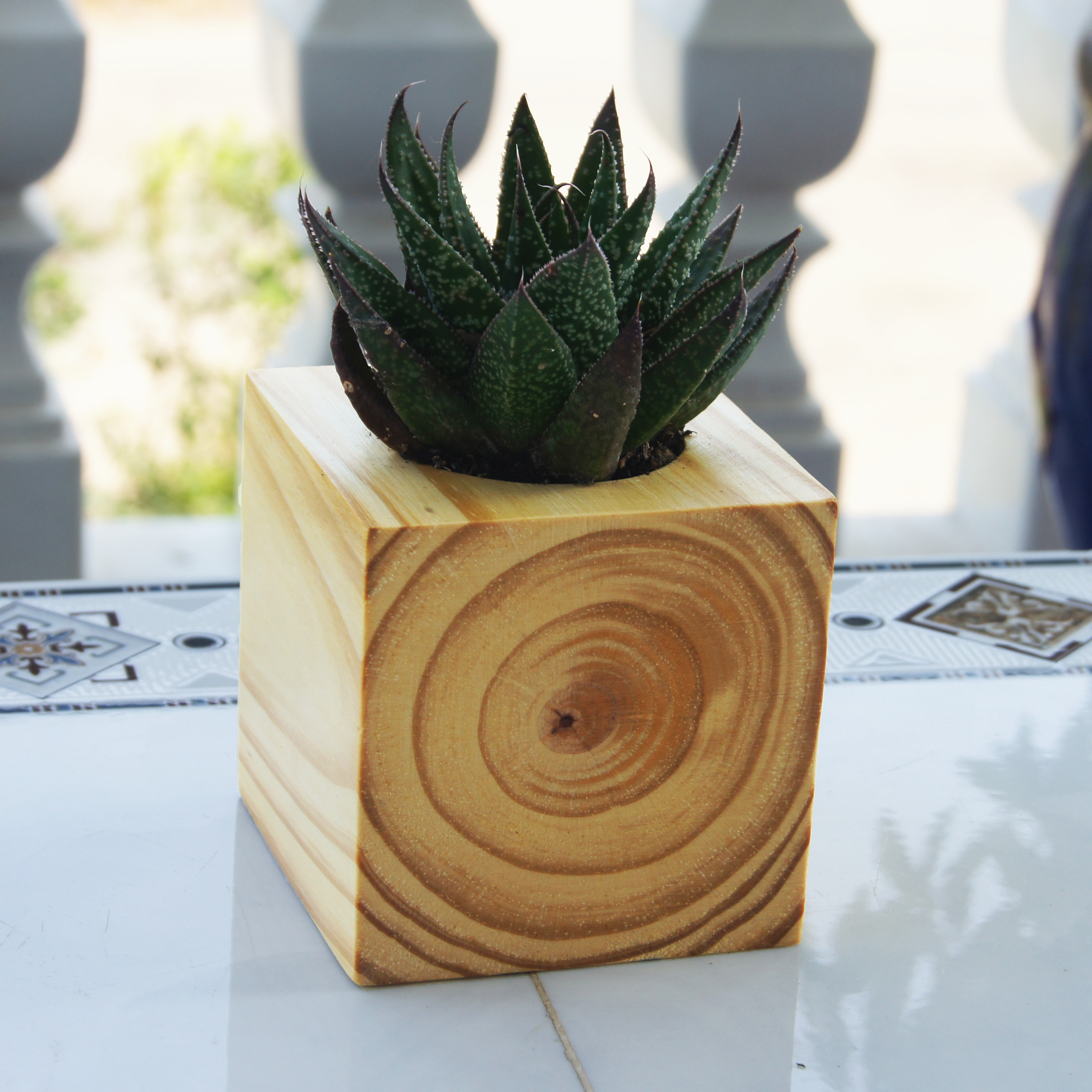 Chậu Trồng Cây Bằng Gỗ Nguyên Khối Hình Vuông - Kích thước: 9x9cm