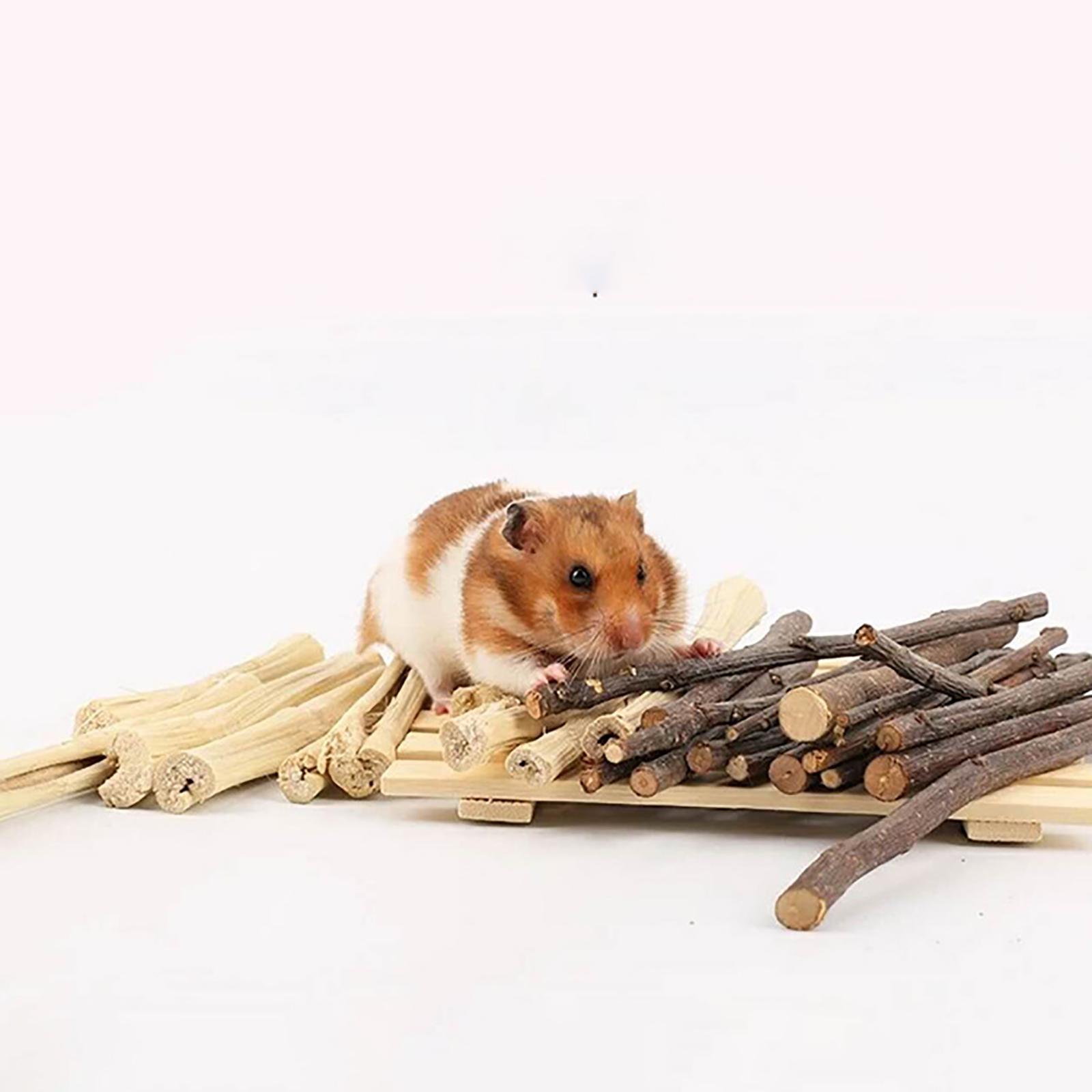 Wood Chew Sticks 1000g Hamster Groundhog Squirrels Rodent Animals