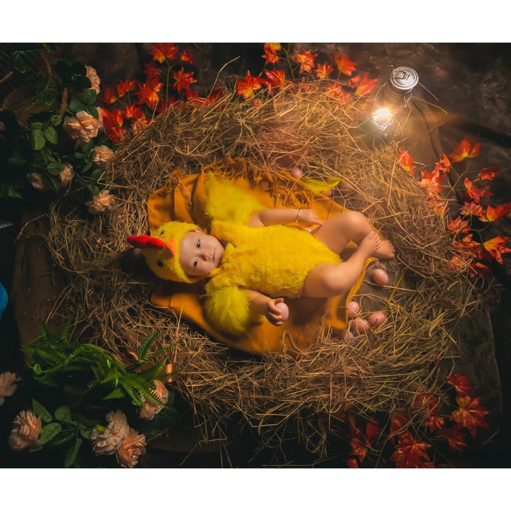 Bộ đồ con gà 2019 chụp hình thôi nôi dành cho trẻ 6-12 tháng đáng yêu