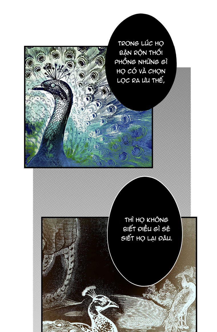 cổ tích về người mẹ kế chapter 73 86