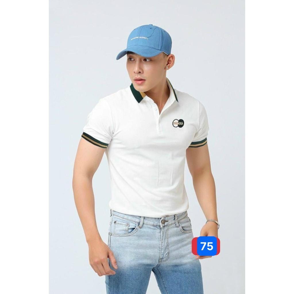 Áo thun Polo nam cao cấp Áo Phông Nam tay ngắn cổ bẻ thun cotton cao cấp GH46