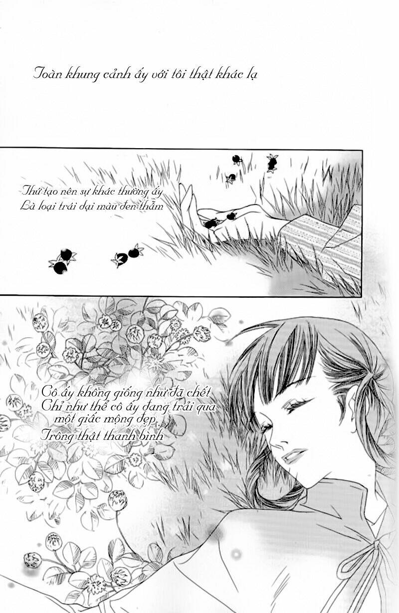 savage garden - "vườn hoang" chapter 17 24