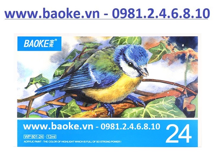 Màu nước Acrylic 24 màu Baoke WP 801 - 24