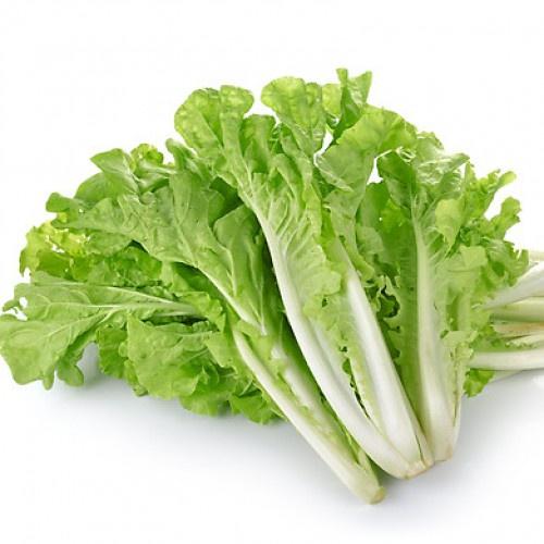 Hạt giống rau cải bẹ dún - Gói 1kg