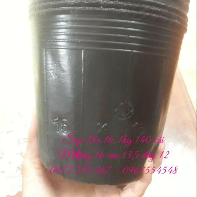 1kg bầu ươm 18x 16/ 130 cái
