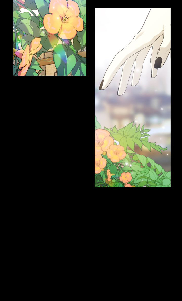 khi những nụ hoa nở rộ chapter 3 45