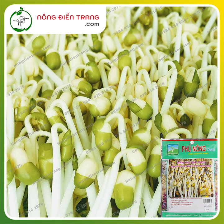 Gói 100g Hạt Giống Mầm Giá Đậu Xanh Mầm Giá Đỗ (Đậu làm Giá Đỗ) Phú Nông