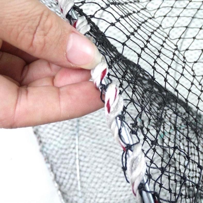 Sale to lồng lò xo , bắt cá - xả hàng tồn