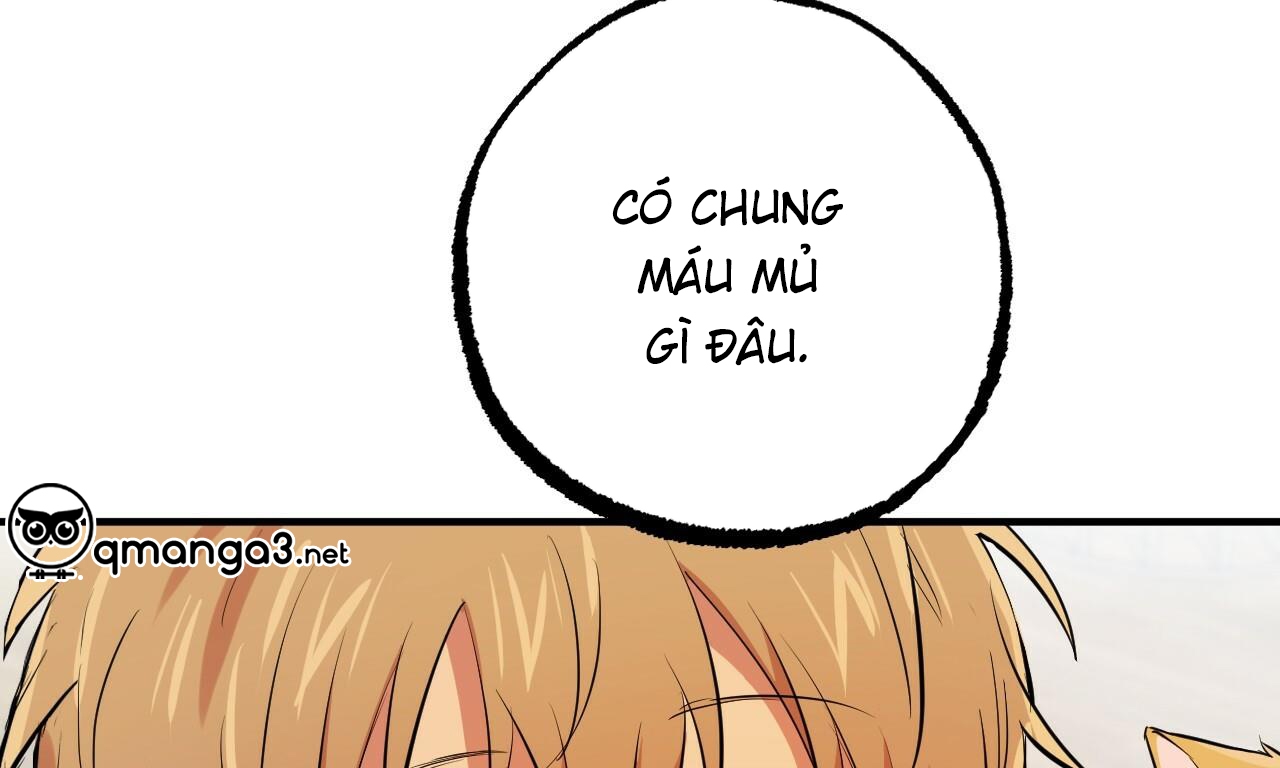đàn thỏ của habibi chapter 51 182