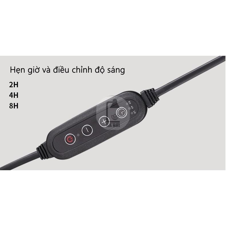 Đèn đốt nến thơm lồng chim - Mẫu mới - Chịnh độ sáng và hẹn giờ 2,4,8H