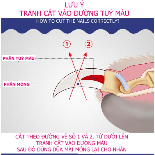 Kéo cắt móng kèm dũa cho Chó Mèo dưới 6kg Chất liệu thép cao cấp Dễ dàng cắt móng tất cả Thú cưng