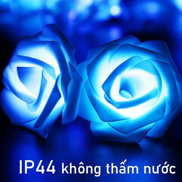 Dây đèn LED 40/20/10 bóng hình hoa hồng lãng mạn dùng trang trí